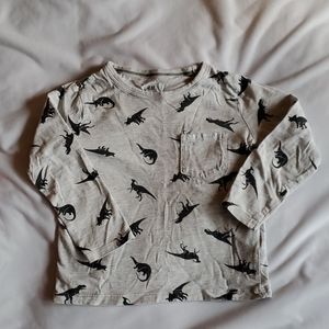 🍭Boys 2-4yr H&M l/s Grey tee with dinosaurs